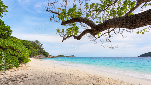 Fototapeta Naklejka Na Ścianę i Meble -  Beautiful landscape sky and blue sea under a green tree at beach of Koh Miang island is a attractions famous for diving in Mu Ko Similan National Park, Phang Nga, Thailand, 16:9 widescreen