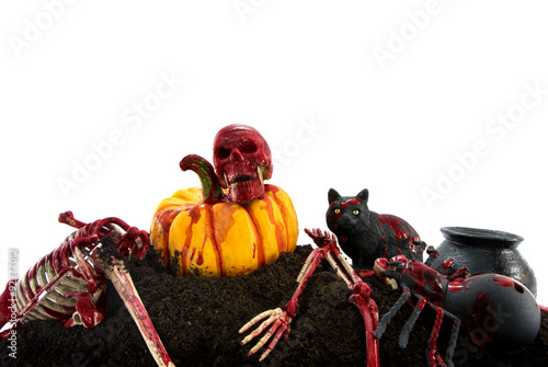 group of scare on cray mound photo