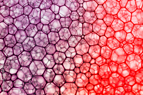 Saturated purple and red ink flows around soap bubbles. Bubbles against glass creates abstract geometric pattern.