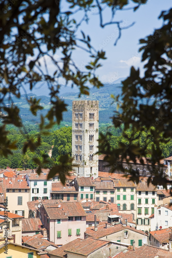 Saint Lawrence church seen from Guinigi tower (Lucca-Italy)