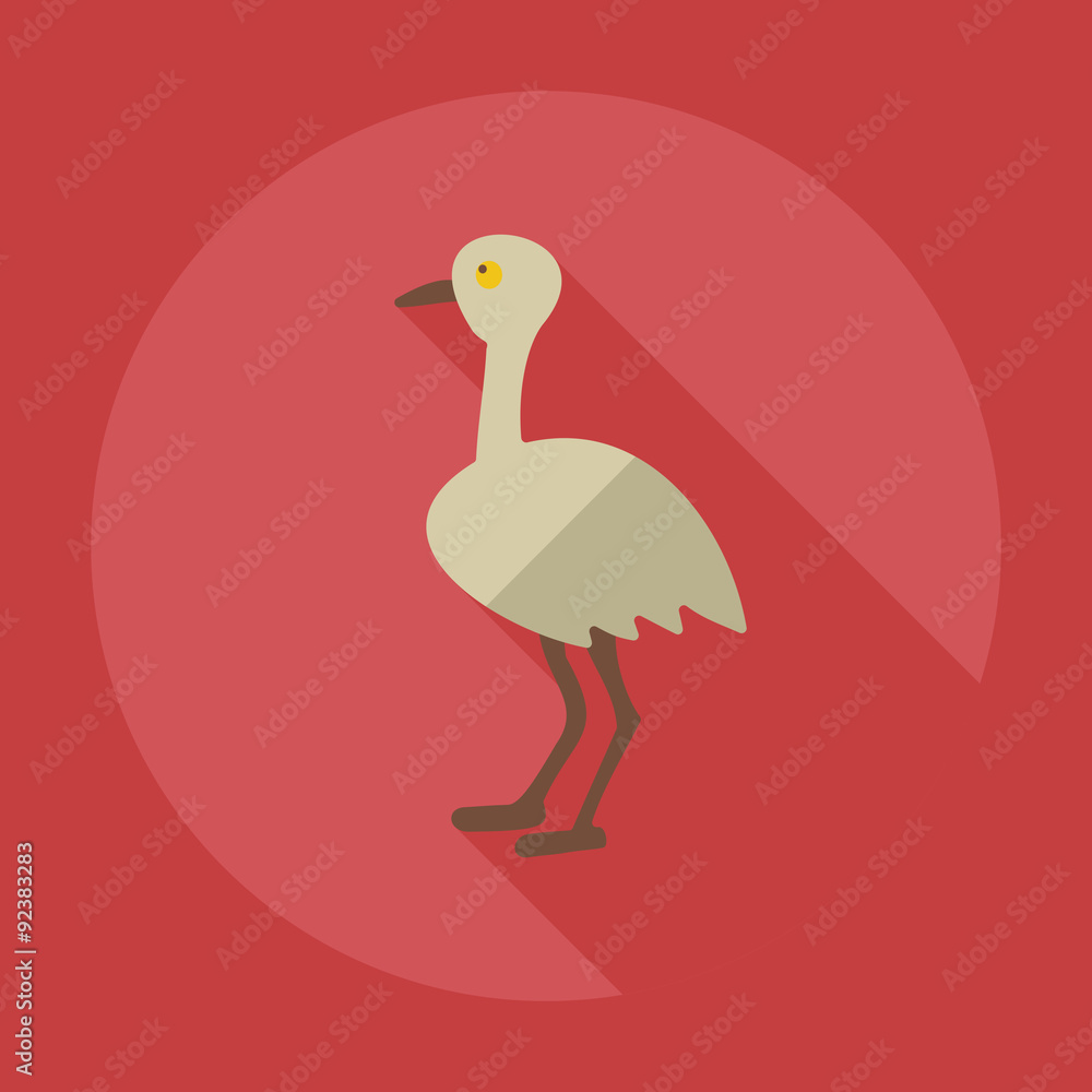 Flat modern design with shadow icons ostrich Flat modern design with shadow icons ostrich