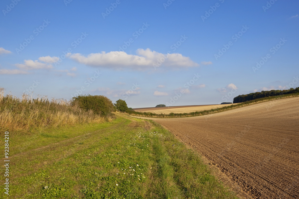 scenic grassy footpath