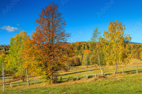 Colorful autumn landscape Harghita mountains Carpathians Transylvania Romania Europe