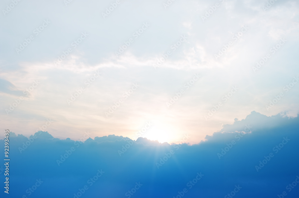 Fototapeta premium Cornfield