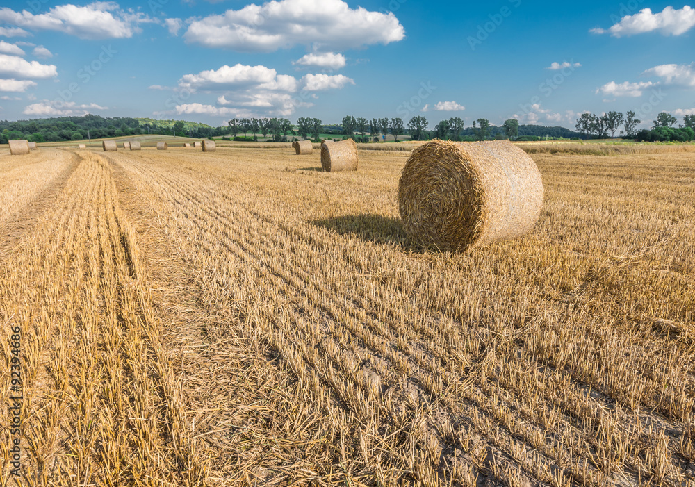 Straw bales on the stubble field beneath blue sky with clouds