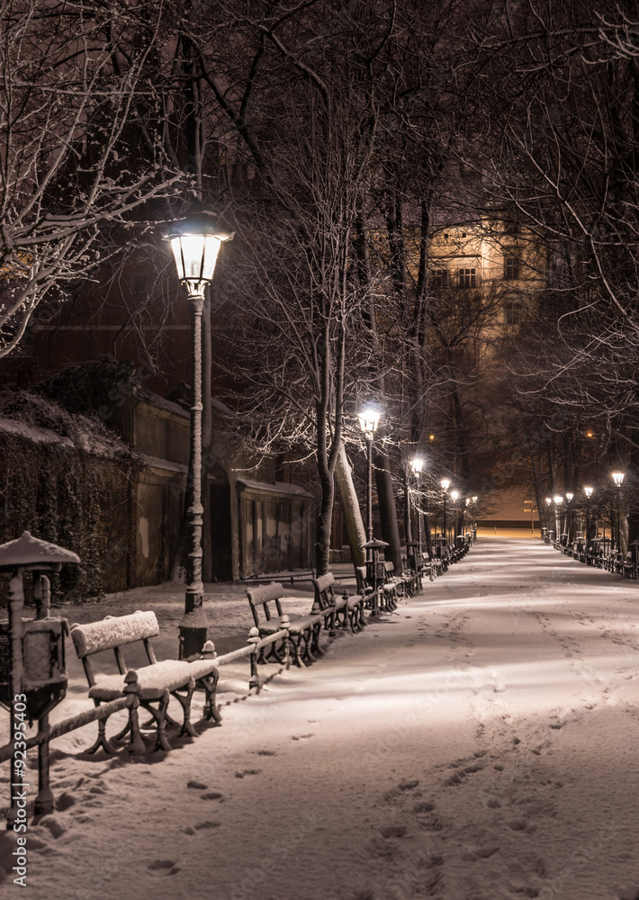 Krakow, Poland, alley in the Planty park seen in the night during snow.