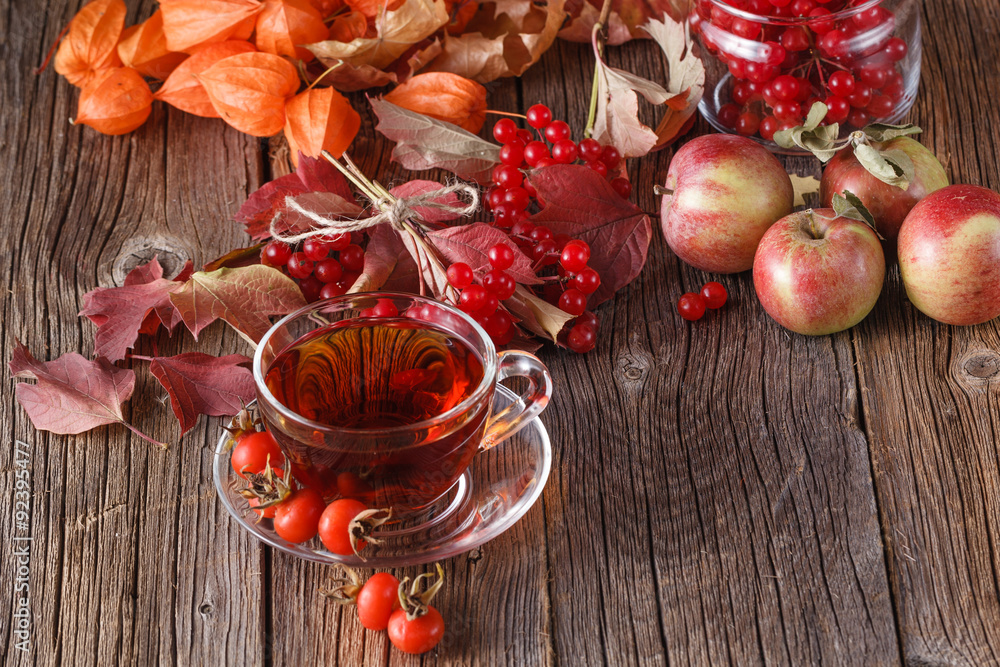 Fall harvesting on rustic wooden background Fall harvesting on rustic wooden background