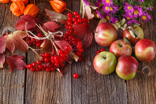 Fall harvesting on rustic wooden background