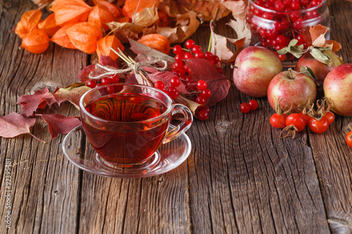 Fall harvesting on rustic wooden background