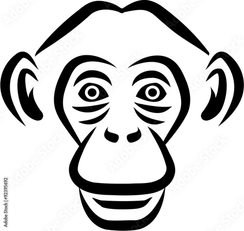 Chimpanzee head sketch style