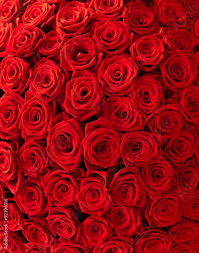 Roses background 