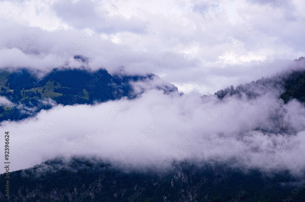 White Clouds over Woody Mountain Slopes