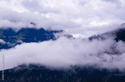 White Clouds over Woody Mountain Slopes