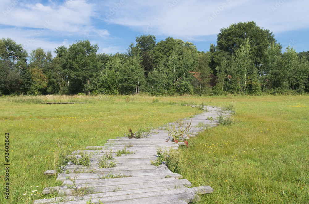 Fototapeta premium wooden path in grass field