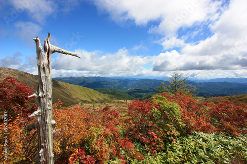 草津白根山からの風景