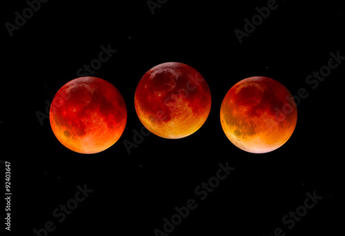 Blood Moon photo