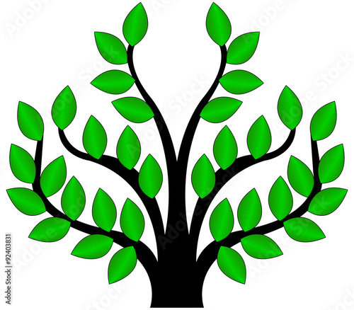 albero