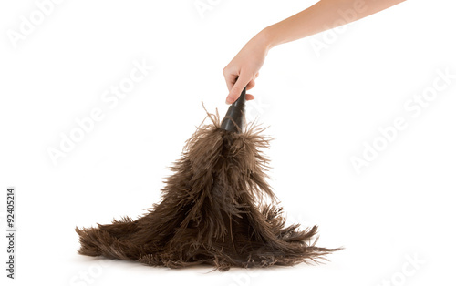 Φωτογραφία A person holding a feather duster on a white background.