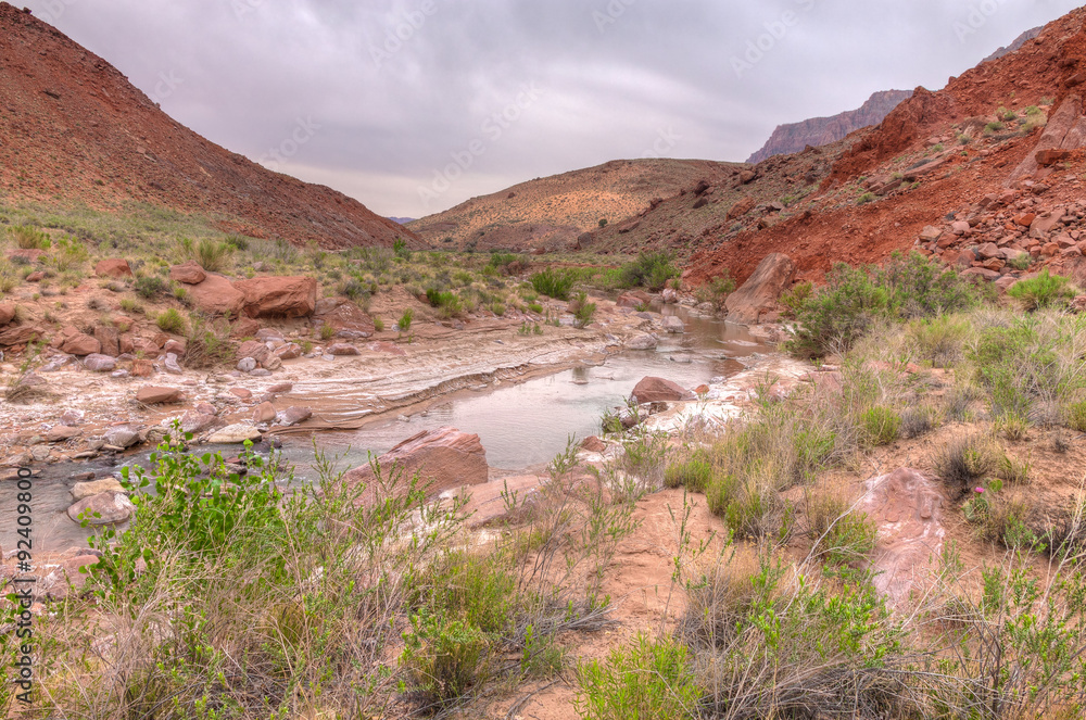 Fototapeta premium AZ-UT-Paria Canyon-Vermilion Cliffs Wilderness-40 mile Paria River backpack consists of hundreds of stream crossings and spectacular scenery.