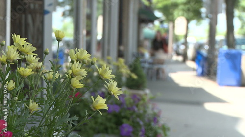 Flower box on sidewalk with shoppers in the background
