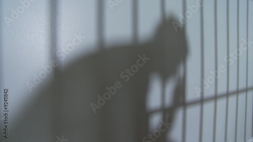 Silhouette and Shadows in Prison