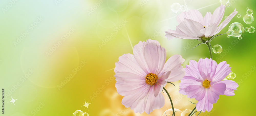 Spring flowers on a morning abstract spring nature Spring flowers on a morning abstract spring nature