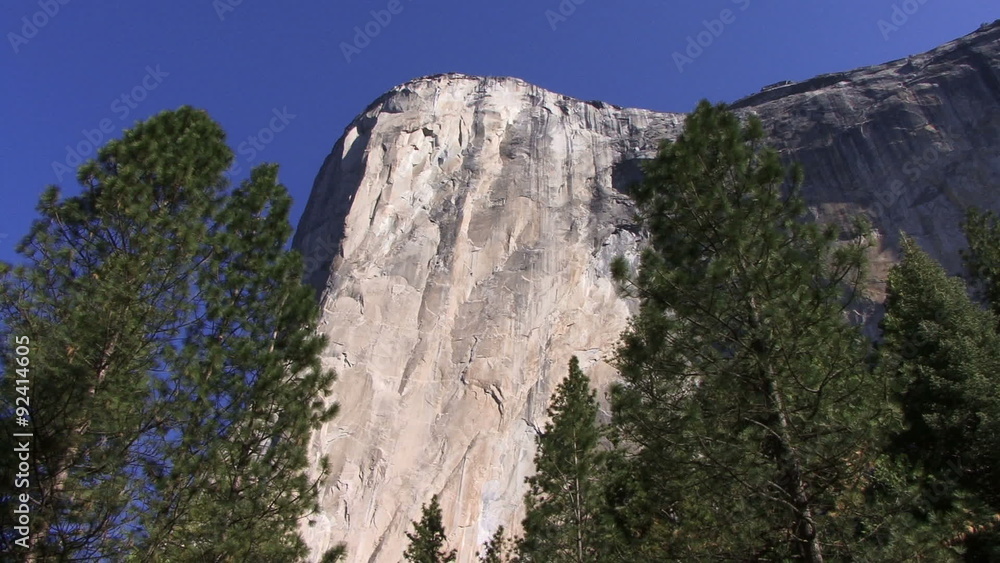 Forest 0104: Big pine trees frame a sheer rock face in Yosemite Valley (Loop). Forest 0104: Big pine trees frame a sheer rock face in Yosemite Valley (Loop).
