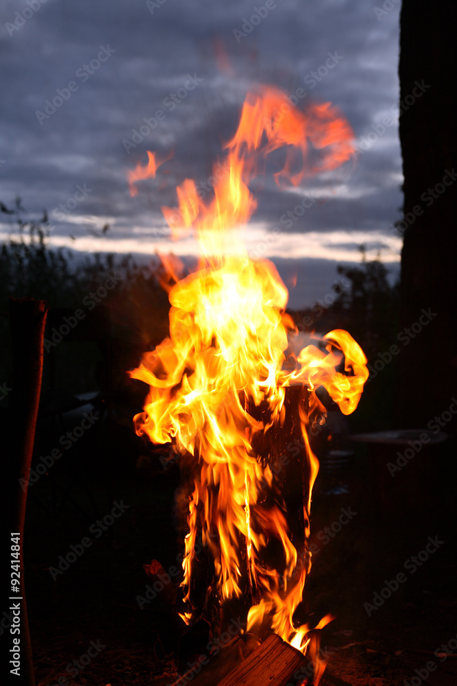 Fototapeta premium Fire Flame