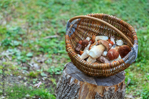 Fresh mushrooms in basket