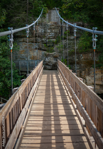 Fototapeta Naklejka Na Ścianę i Meble -  Foot Bridge