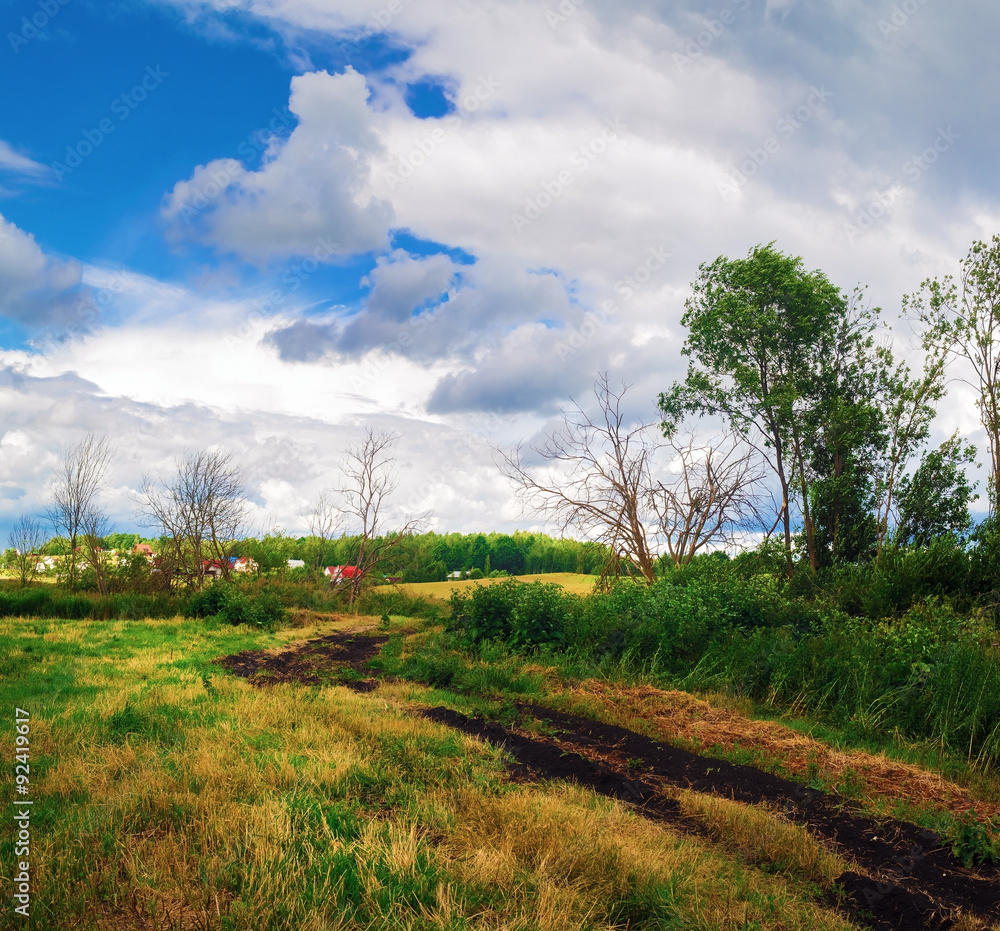 Obraz premium Countryside