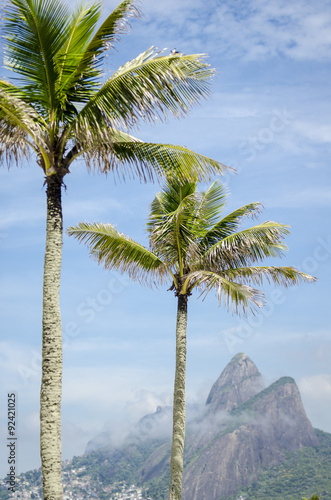Rio de Janeiro Brazil with palm trees in front of Two Brothers Dois Irmaos Mountain