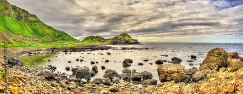 View of the Giant's Causeway, a UNESCO heritage site in Northern