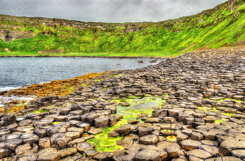 View of the Giant's Causeway, a UNESCO heritage site in Northern