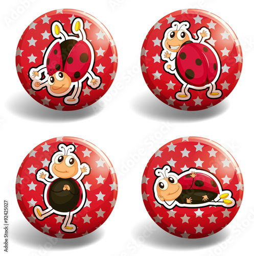 Ladybug on red badges
