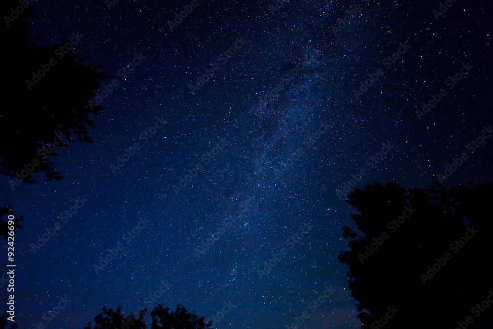 Night starry sky scene