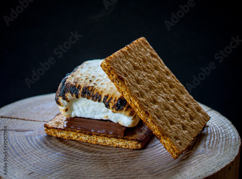 Smores on a log