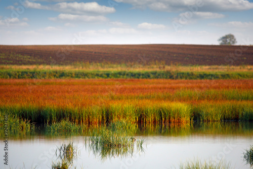 swamp and field landscape autumn season © goce risteski