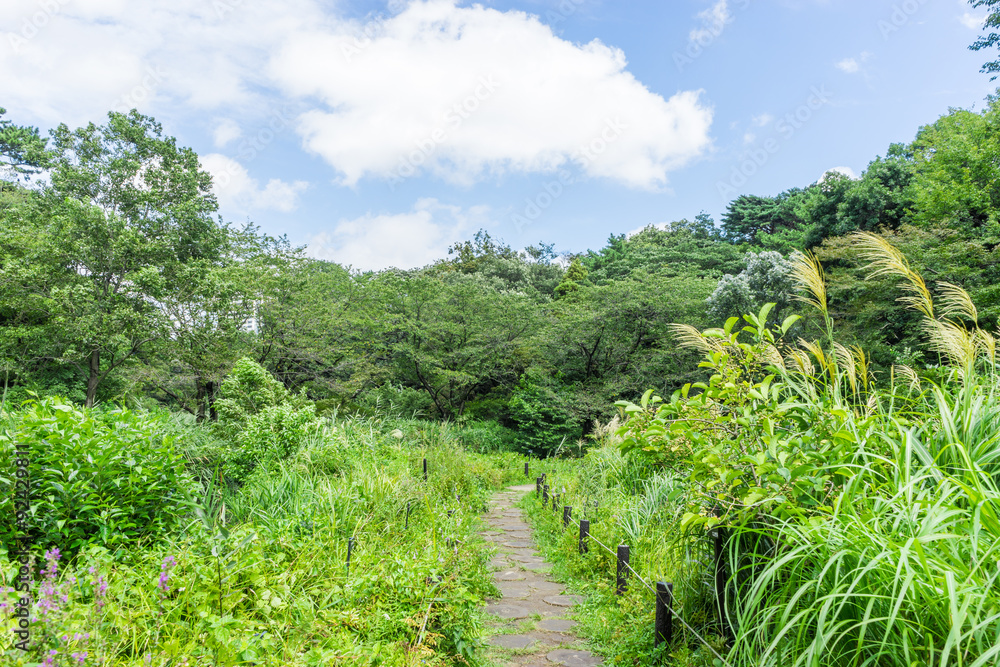 Water garden of Institute of Nature Study