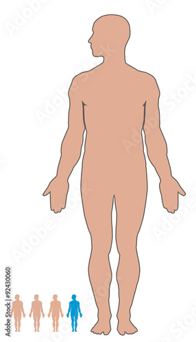 Male  body vector silhouette