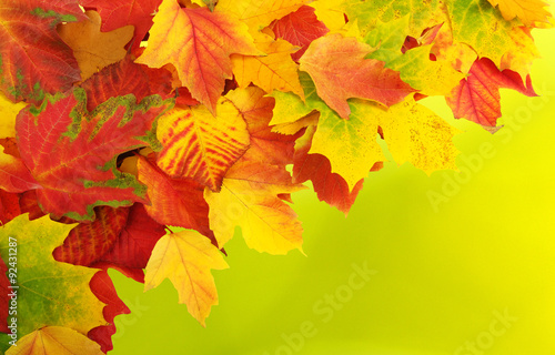 autumn leaves background