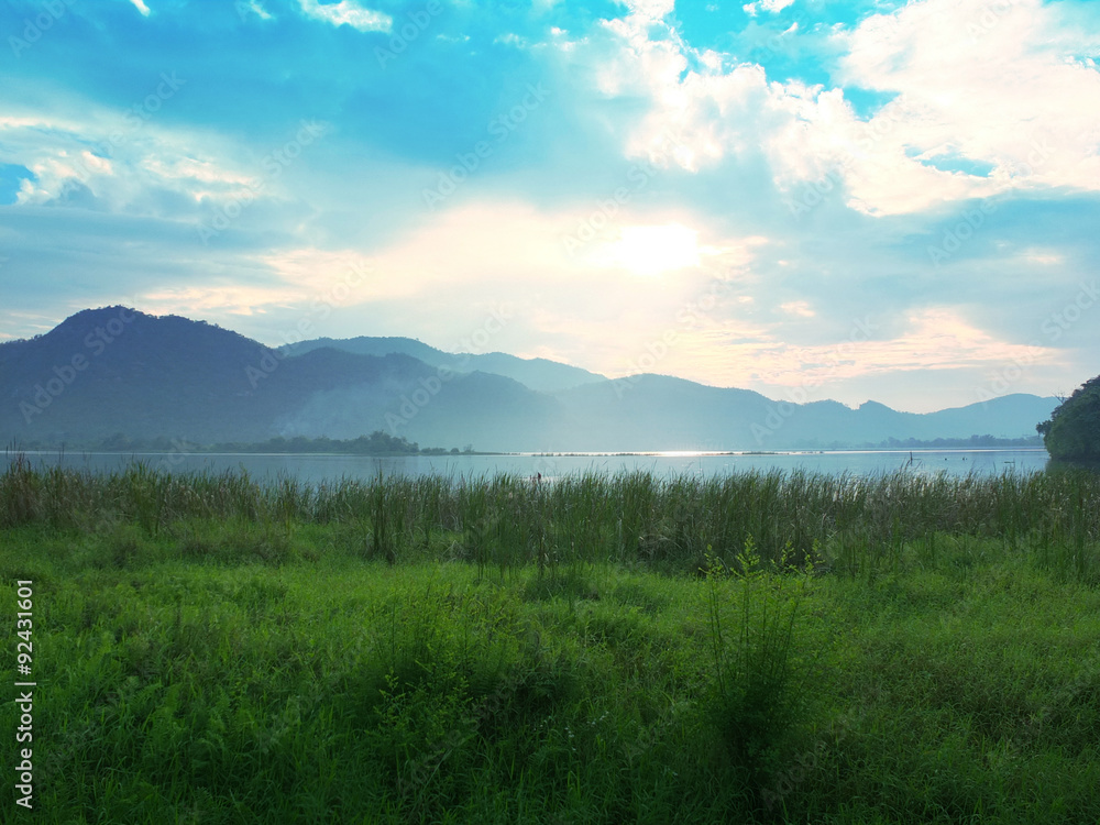 Beautiful Meadow in Shiny Day Beautiful Meadow in Shiny Day