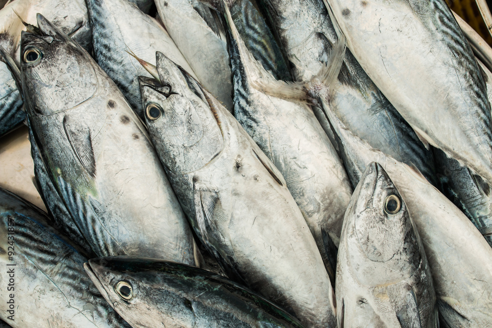 Obraz premium fresh fish at market on sale