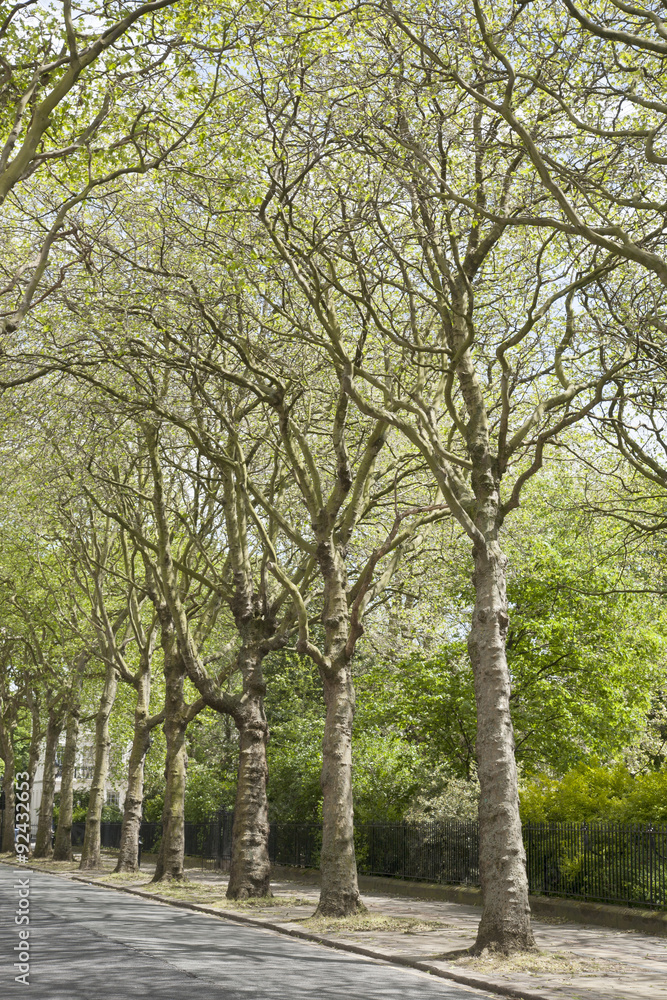 Falkner Square; Liverpool; England