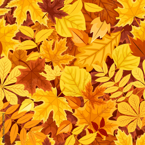 Seamless pattern with autumn colorful leaves. Vector illustration.