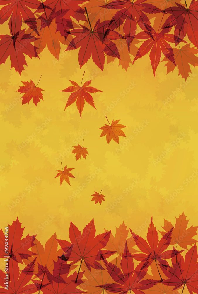 紅葉したモミジの背景画像 紅葉したモミジの背景画像