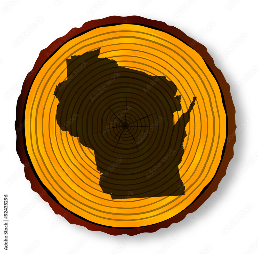 Fototapeta premium Wisconsin Map On Timber
