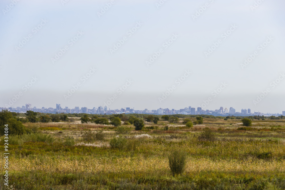 The outlines of the city on the horizon .
City silhouette on a rural landscape . The outlines of the city on the horizon .
City silhouette on a rural landscape .