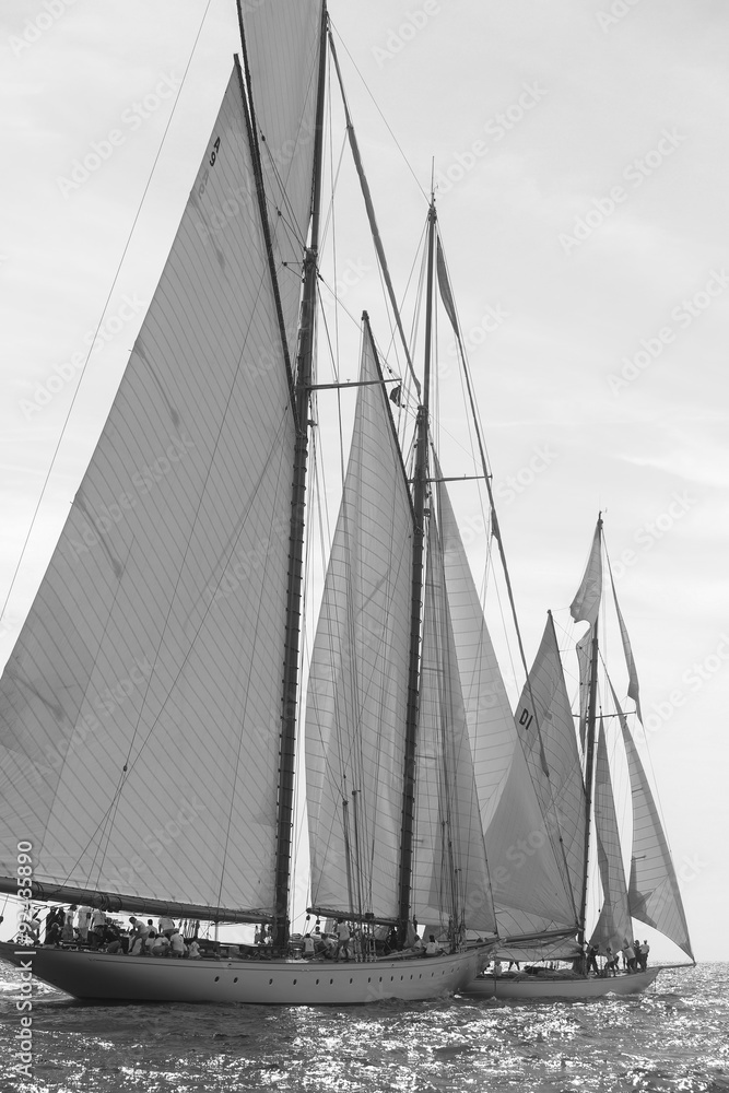 Obraz premium voiliers