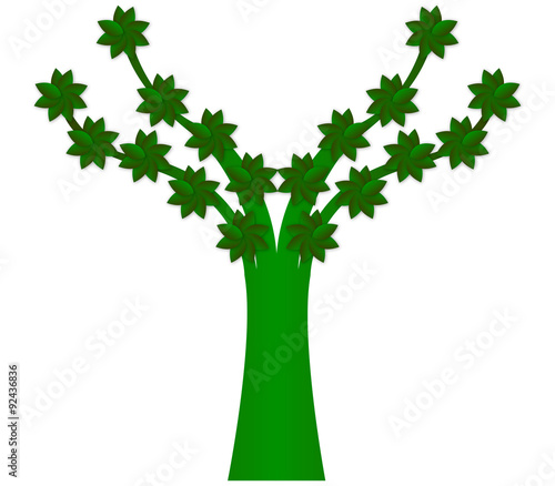 albero